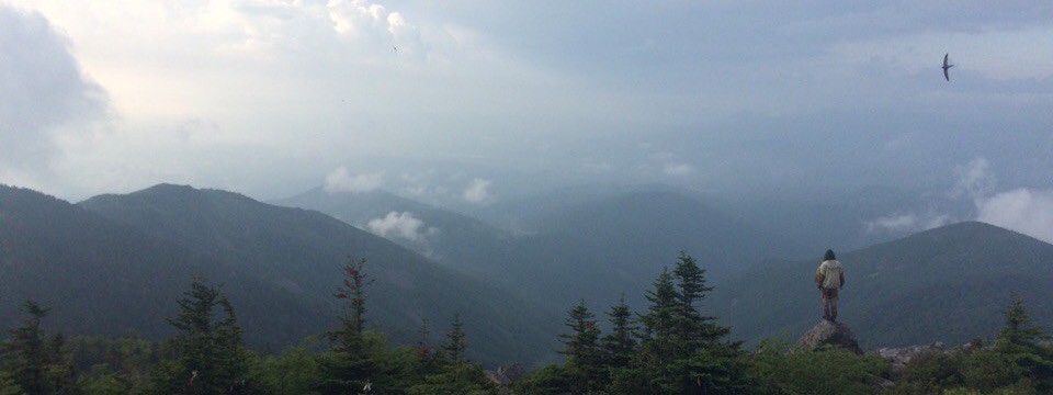 Лена Михнович