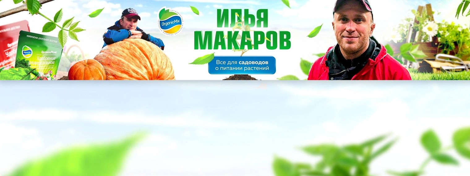 Илья Макаров - Organic Mix