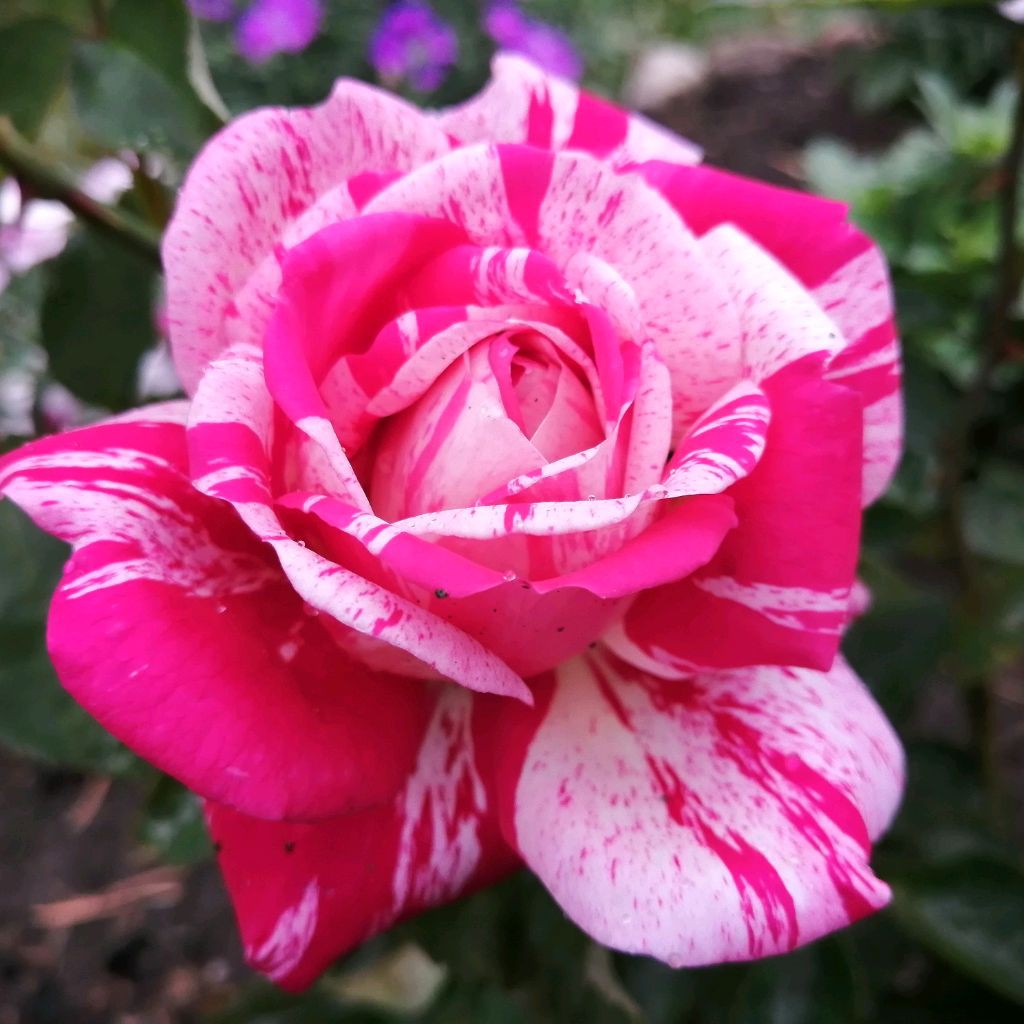 IrinaMymrikova Моменты нашей жизний