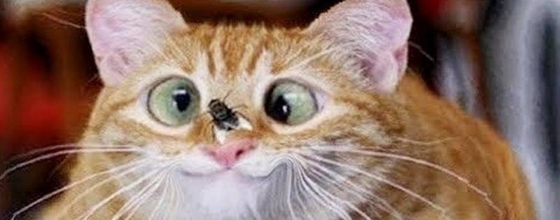 ВИДЕО В ТОПЕ