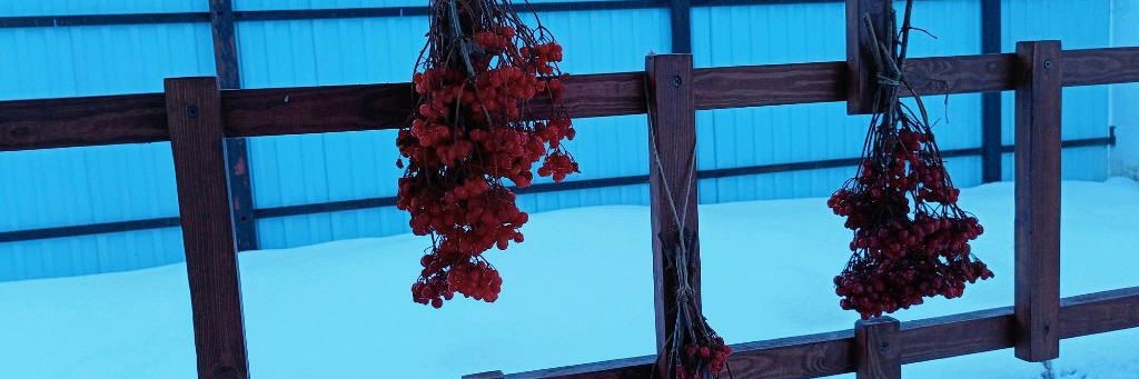 Татьянин день))