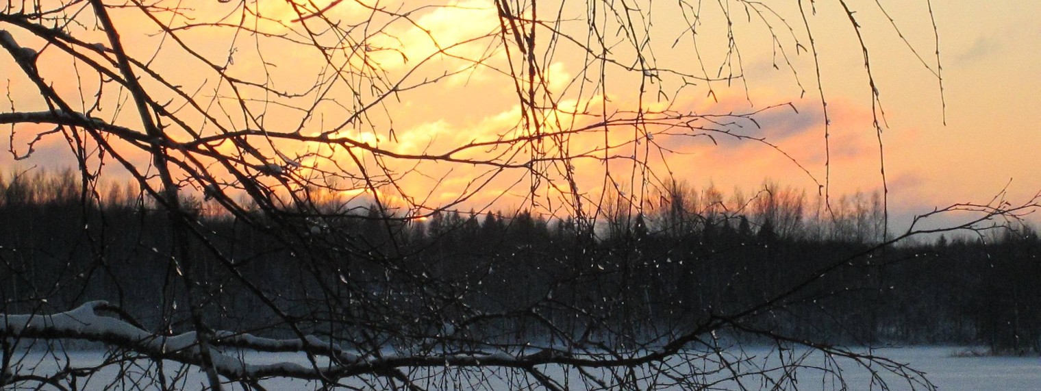 СтройбатПитер