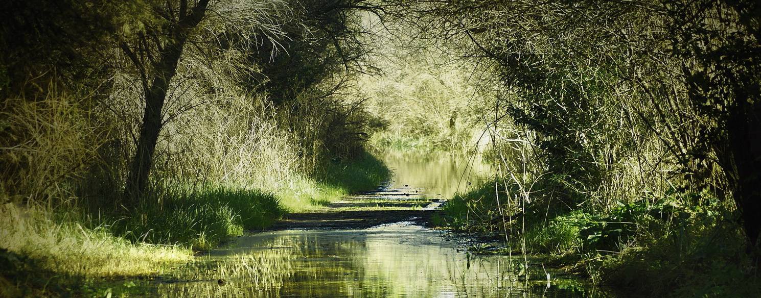 Моя семья и другие приключения