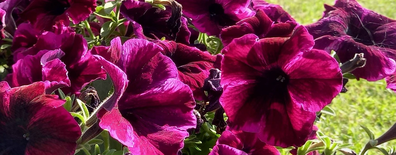 40 SOTOK s VALENTINOY