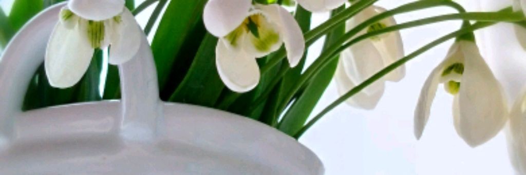 Цветы Ручной Работы