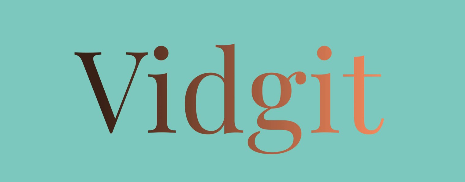 vidgit