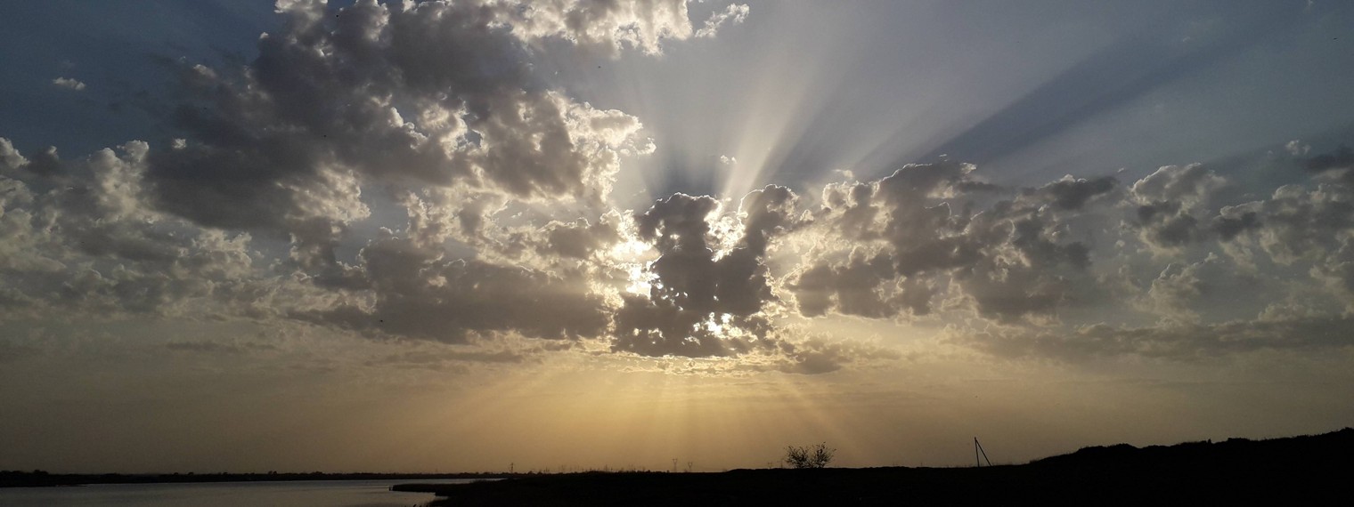 Бегущие Лошадки