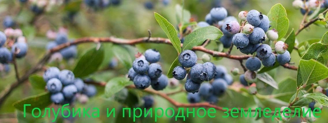 Фермерское хозяйство "Доктор Шарец"