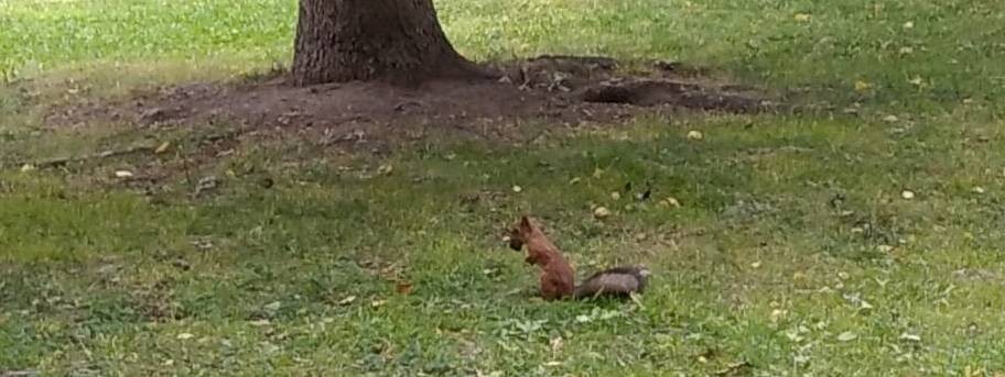 Моя Родина - Карпинск