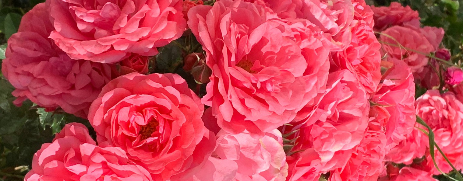 Анапа мечта.RU