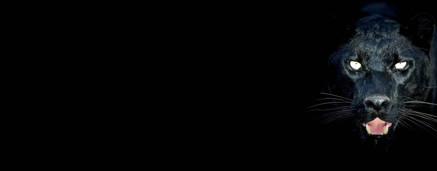 Костылева Елена