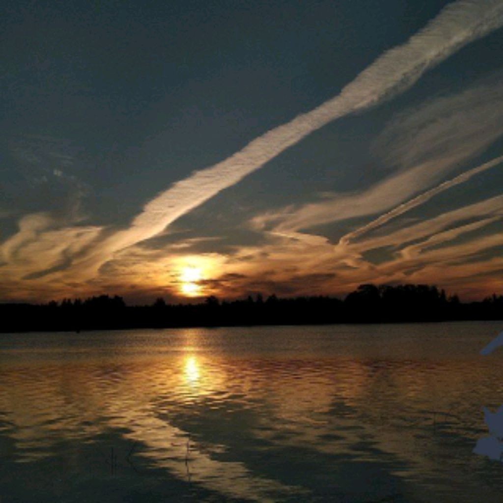 ДТП и ЧП | Ленинградская область Он-Лайн