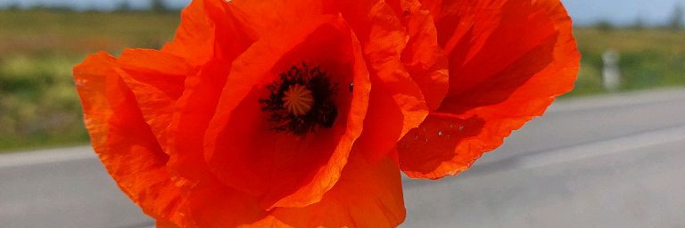 Келюхова Татьяна