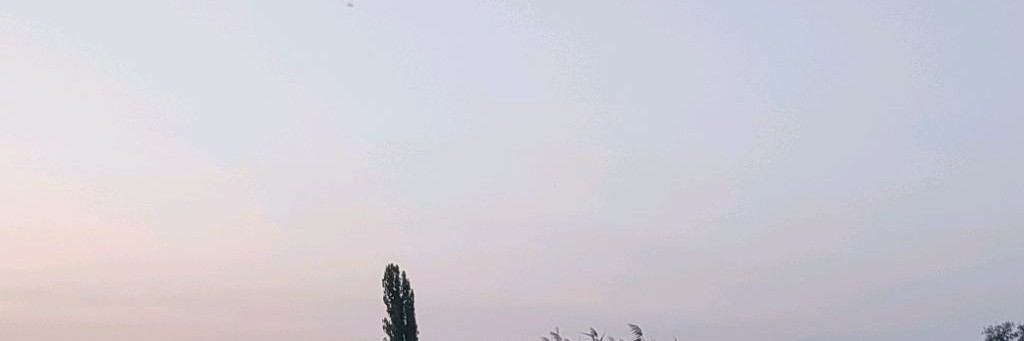 Местный - Крым