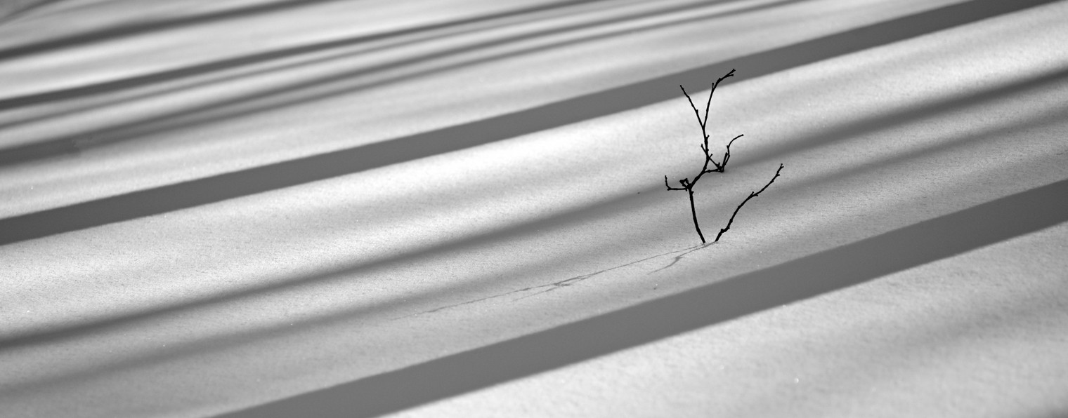 Камера-обскура