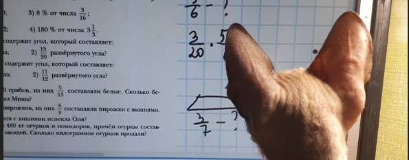 Гридина Елена, репетитор по математике онлайн