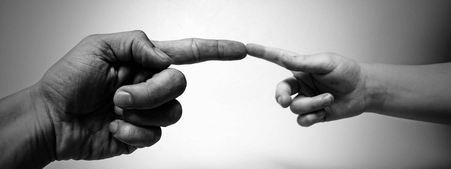 АНО ЦСНИР "Добропорядок"