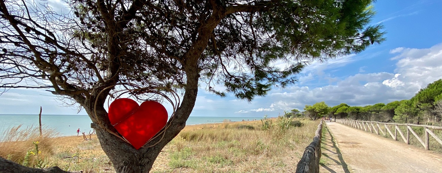 Family Trip. Семейные путешествия.