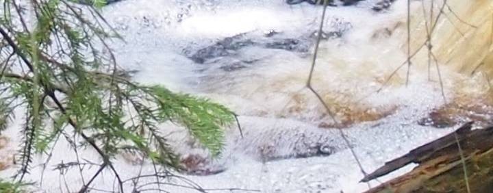 Серега в деле!