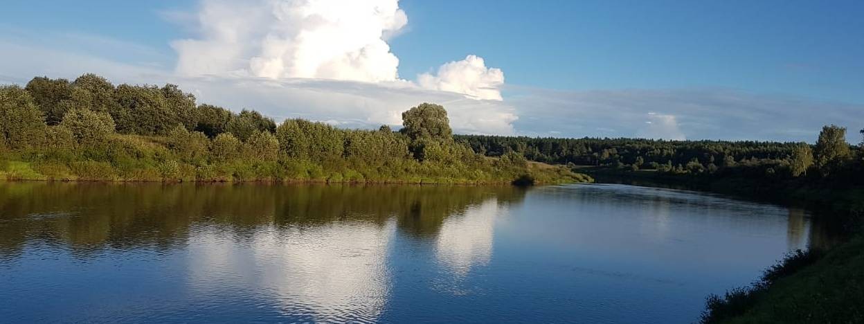 Вячеслав Береза