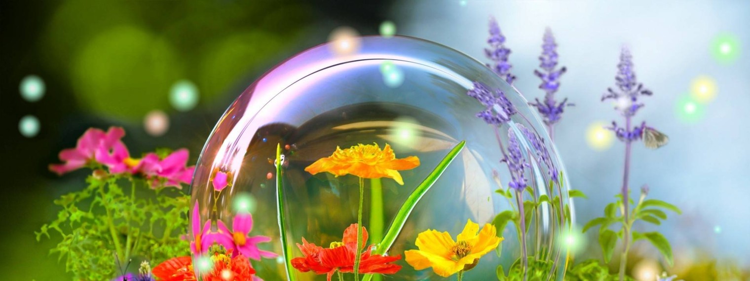 Татьяна и моё хобби: Лягуха-Квакуха.