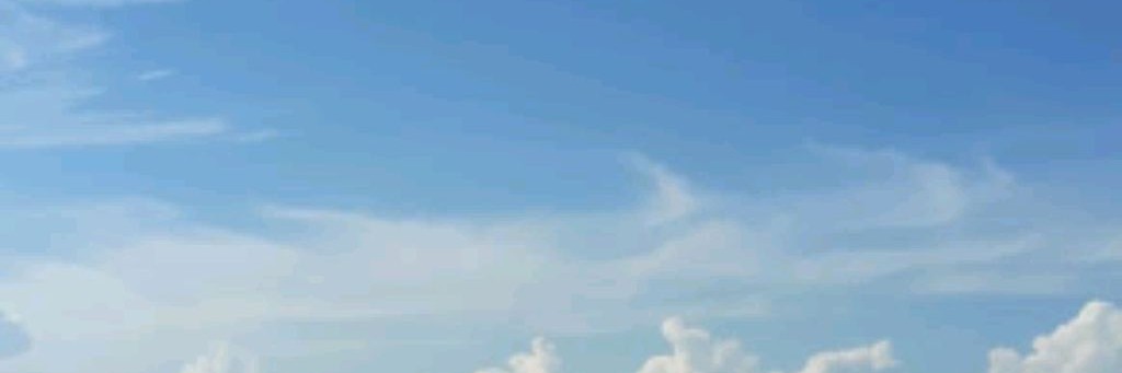 Семья Грачёвых