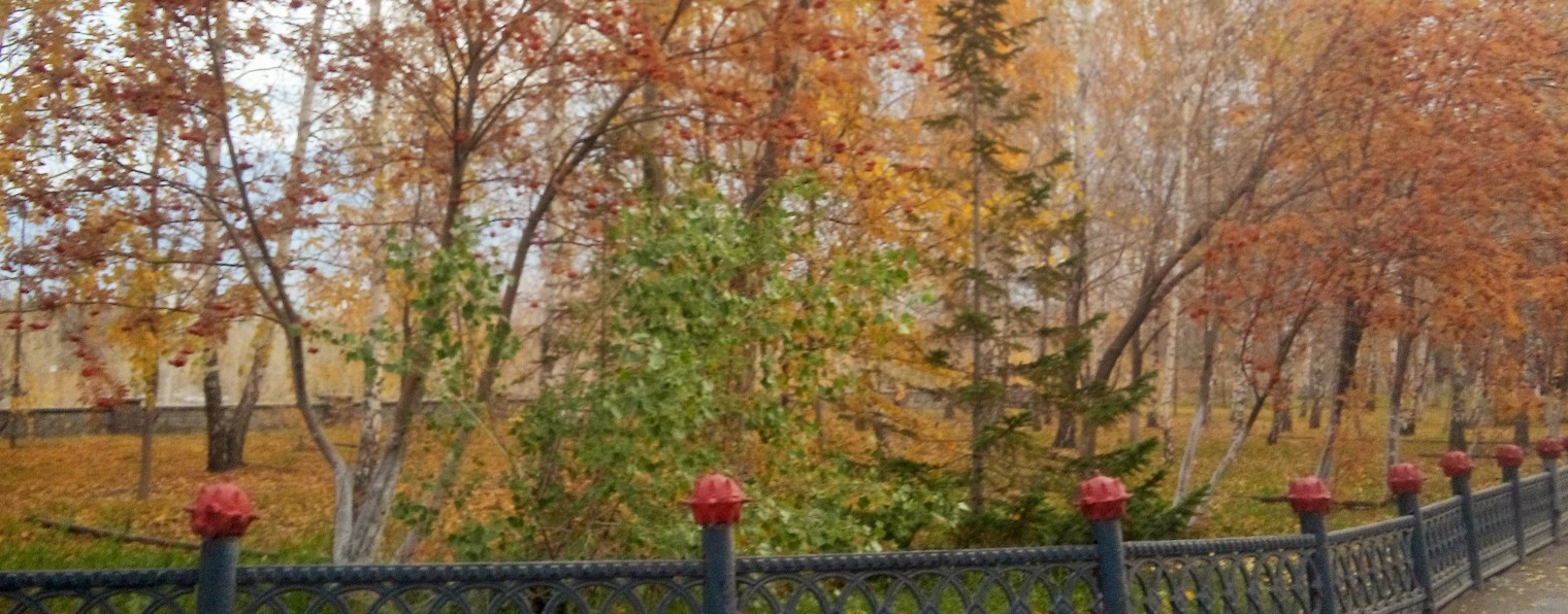 Альберт Тимирбулатов