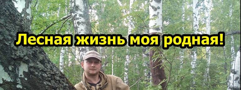 Лесной житель.