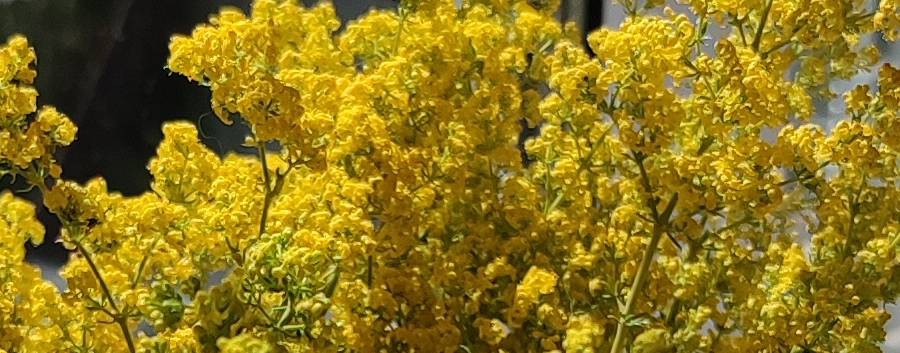 Людмила Ерофеева