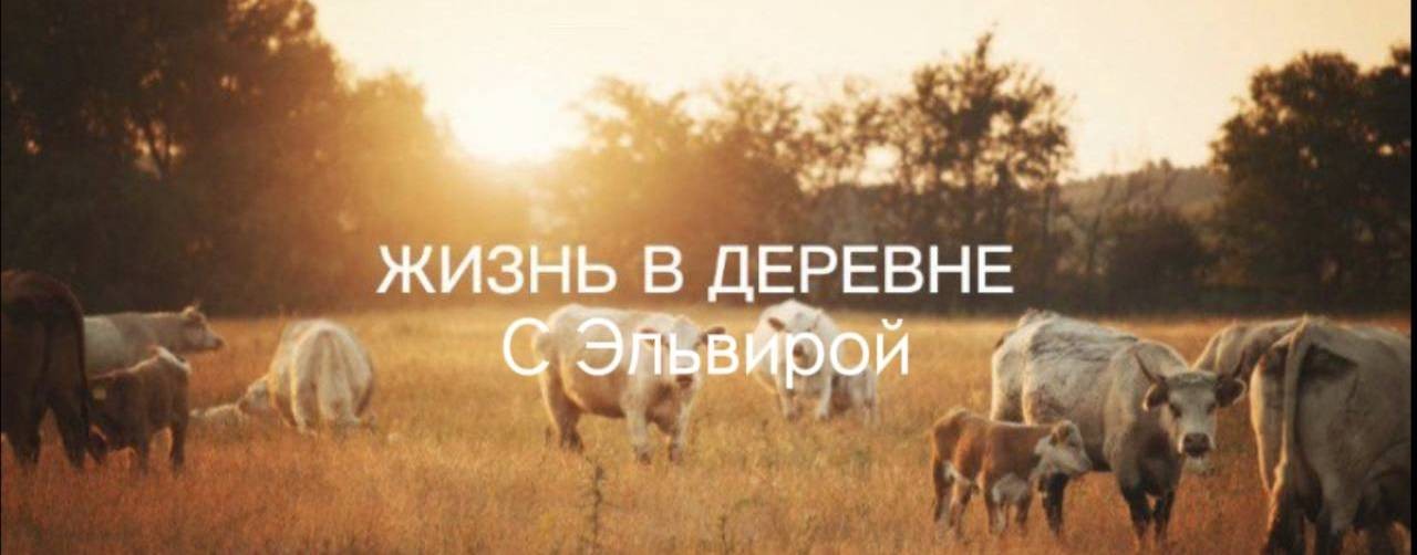 Жизнь в деревне с Эльвирой