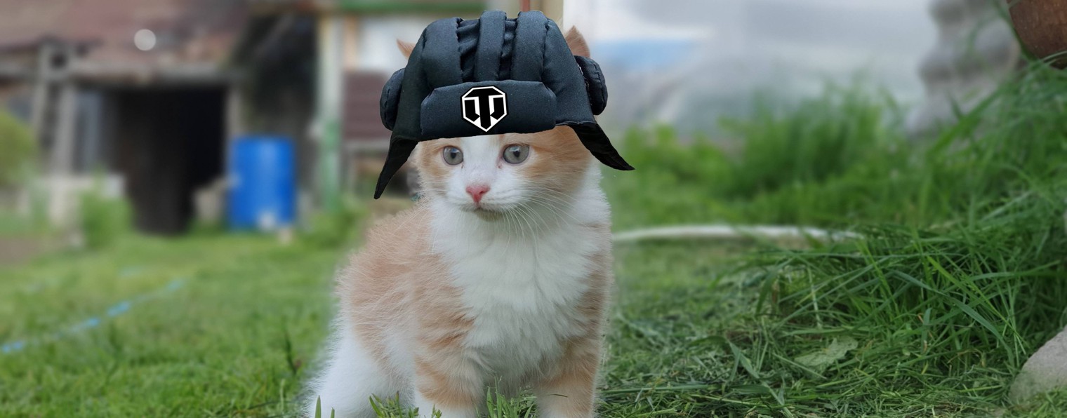 TYT_ECTb_DO6PO Tanks Blitz