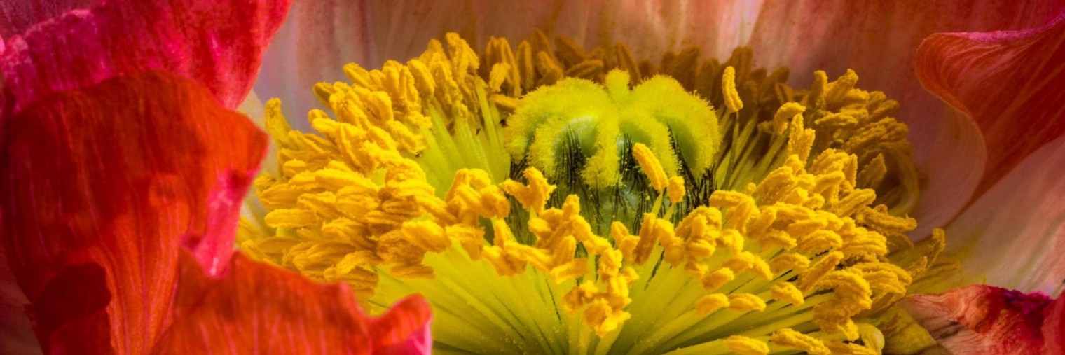 Корякова Анна. "О бизнесе и людях"