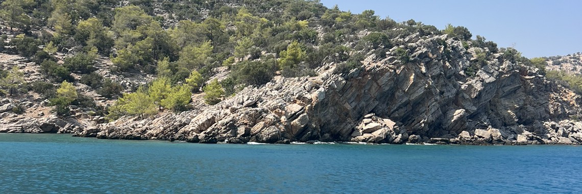 More Real Estate недвижимость в Турции