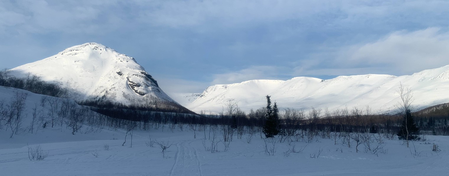 Едемский Павел