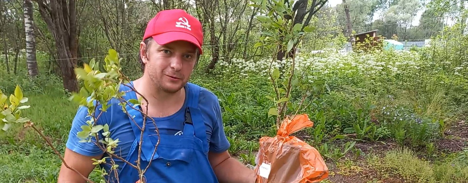 Садовый кейс