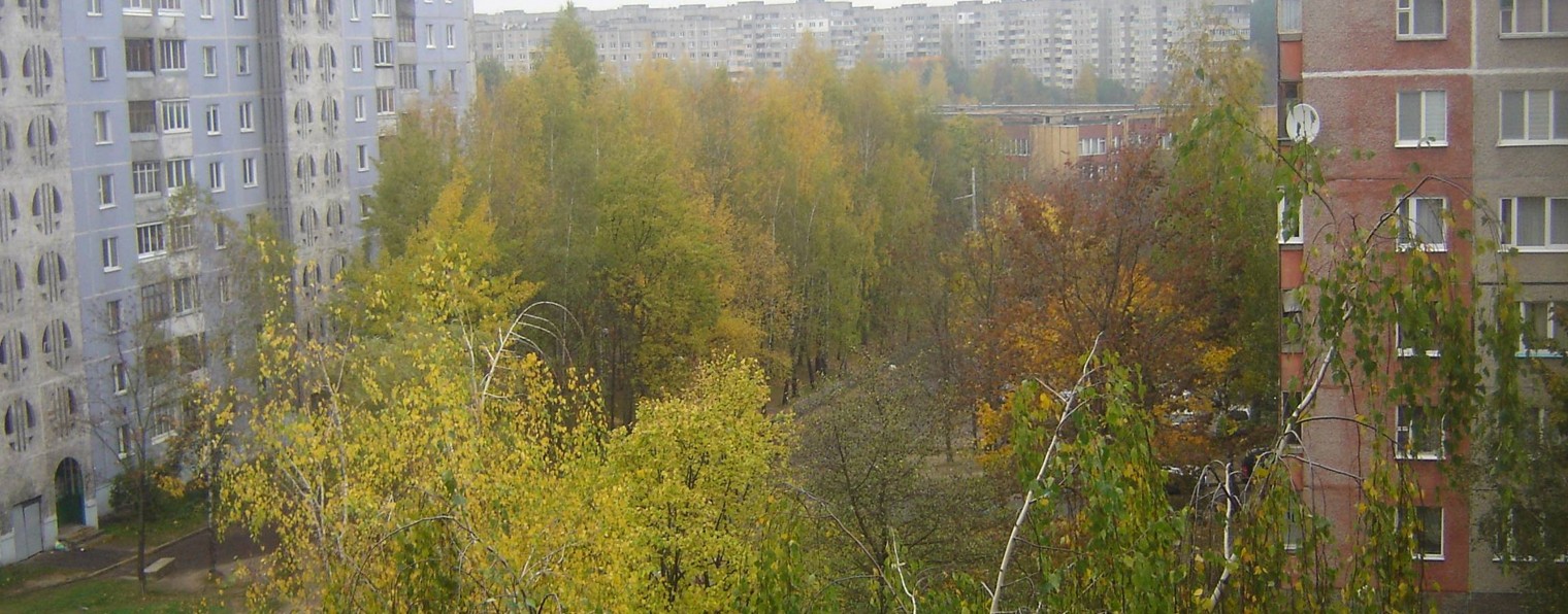 Никита Козенцов