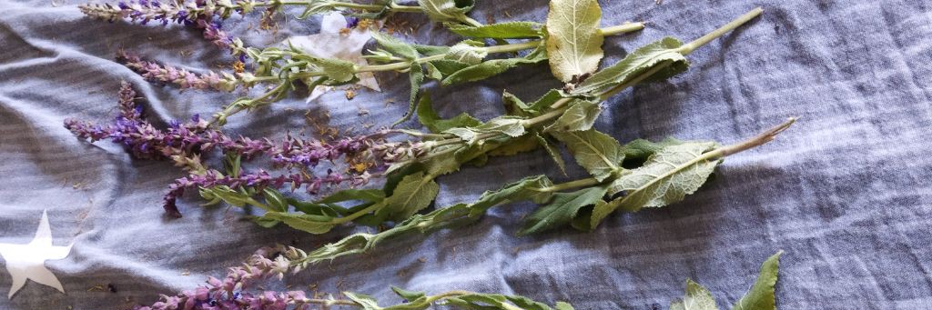 Кот Симорон и компания