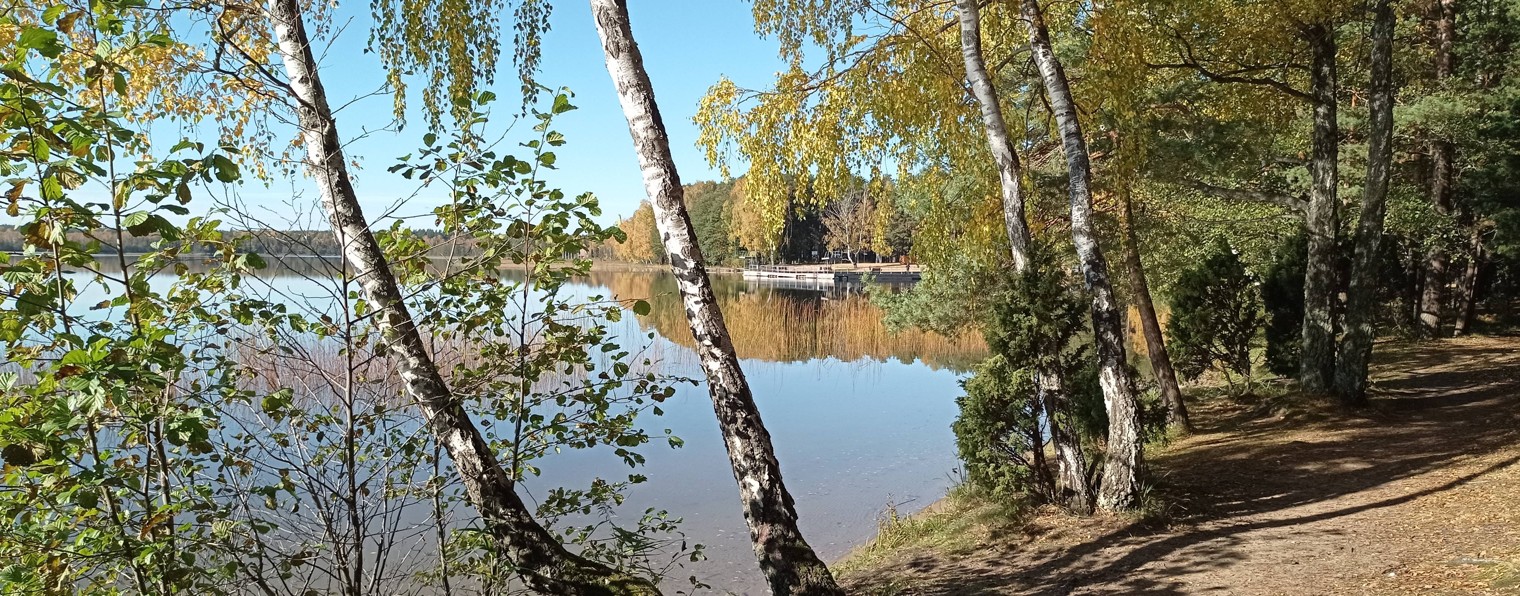 Оскар Шкатов