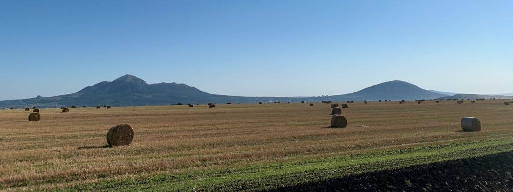 Саратовская фермерская ягода