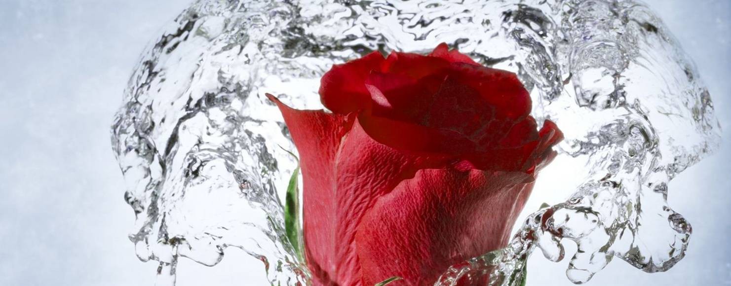 Екатерина Самойленко. Видеомонтаж.