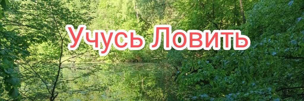 Учусь Ловить