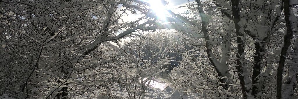 рыбак26рус Ribak26rus