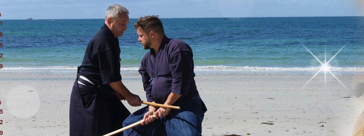 Marenkov Andrei Shinkai Dojo