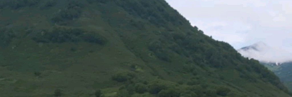 Евгений Дегтярь