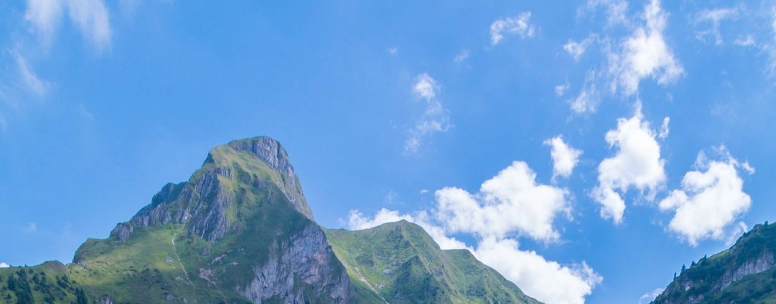 ФрагментыДачнойЖизни