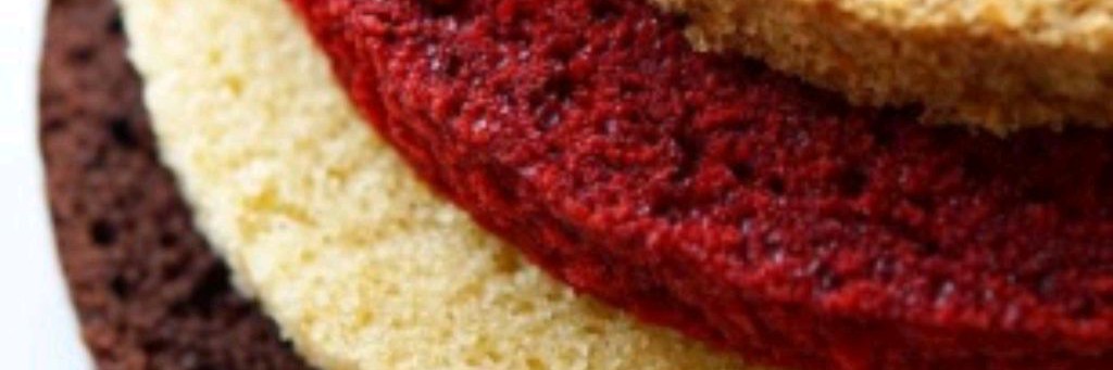 ТОРТоШКОЛА @tortoshkola