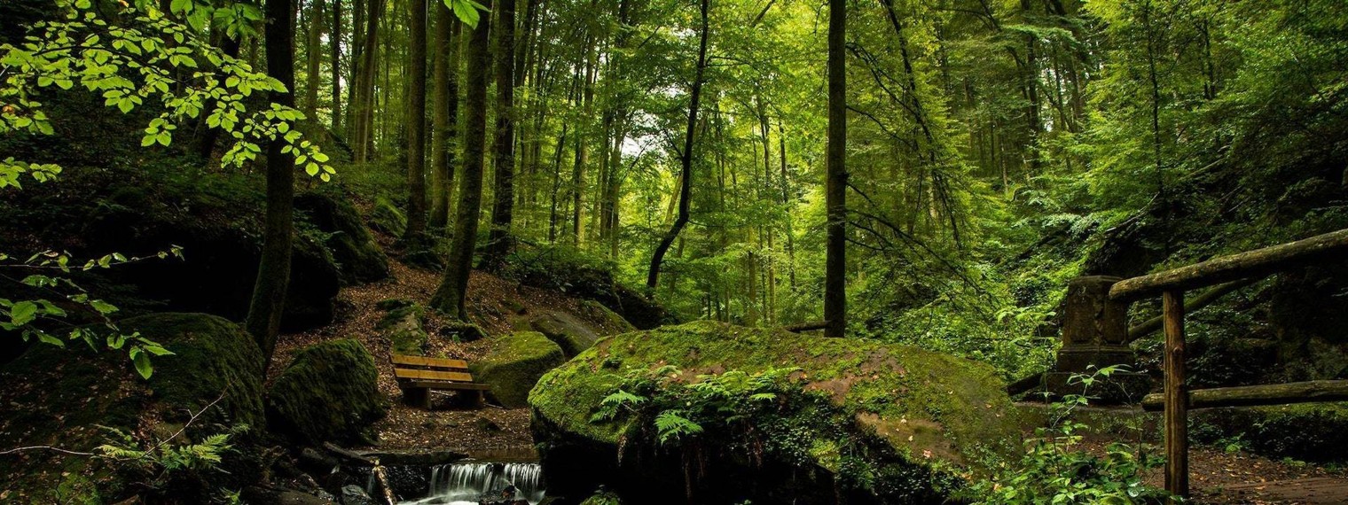 ЗОНА РЕЛАКСАЦИИ