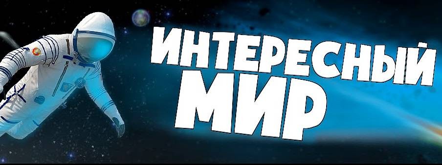 Интересный мир