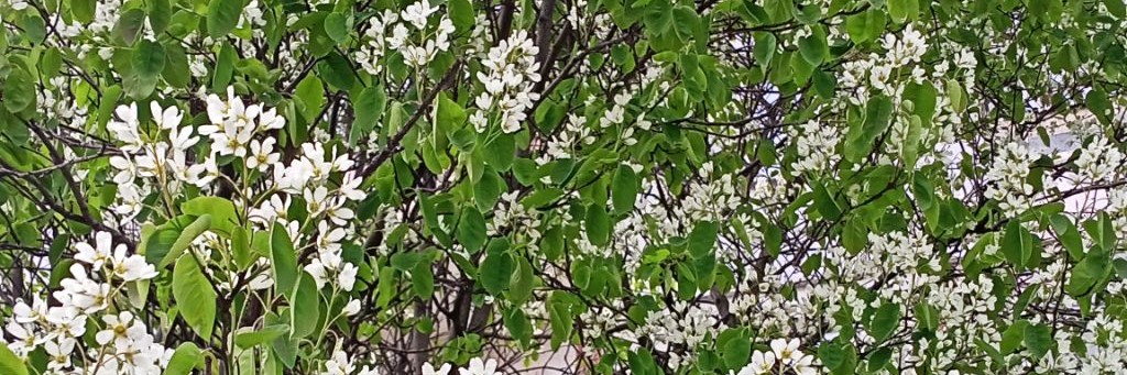 Владимир Гончаров