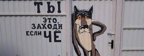 Клиника доктора Зеда. Dr. Z Clinic